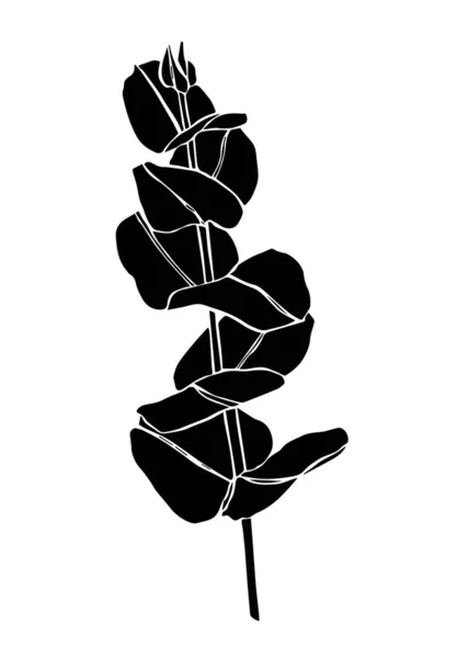 Rama de hojas de eucalipto de línea negra. Elementos de diseño florístico para florística. Ilustración hecha a mano. Tarjeta de felicitación . — Archivo Imágenes Vectoriales