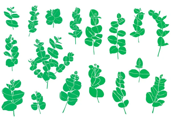 Verde conjunto eucalipto folhas ramo. Elementos de design florístico para florística. Ilustração desenhada à mão. Cartão de saudação . — Fotografia de Stock