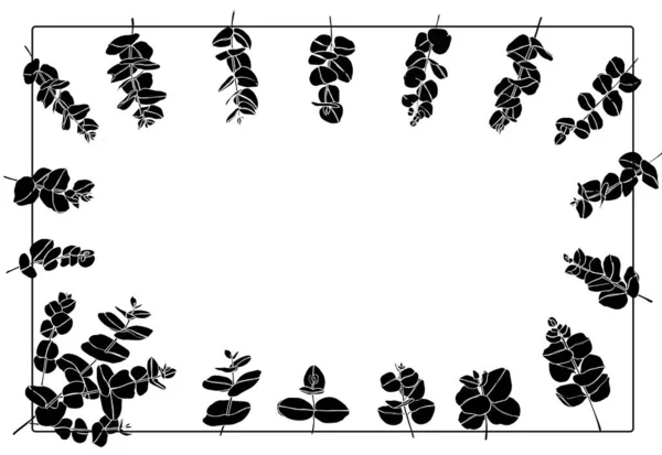 ユーカリの葉の枝のフレームセット。花屋のための花屋のデザイン要素. — ストック写真