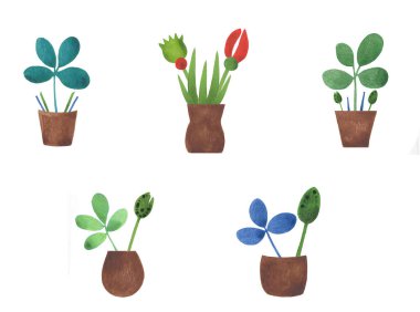 Yaprakları, çiçekleri ve küçük kahverengi tencereleri olan renkli çiçek elementleri.