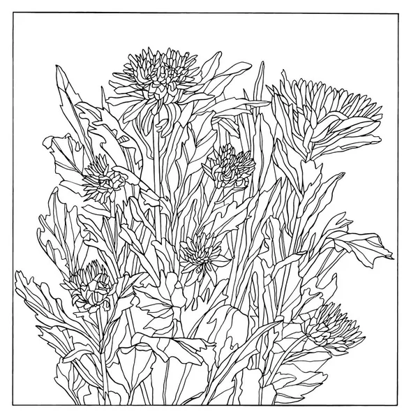 Inkt Tekening illustratie van aster bloemen met bladeren — Stockvector