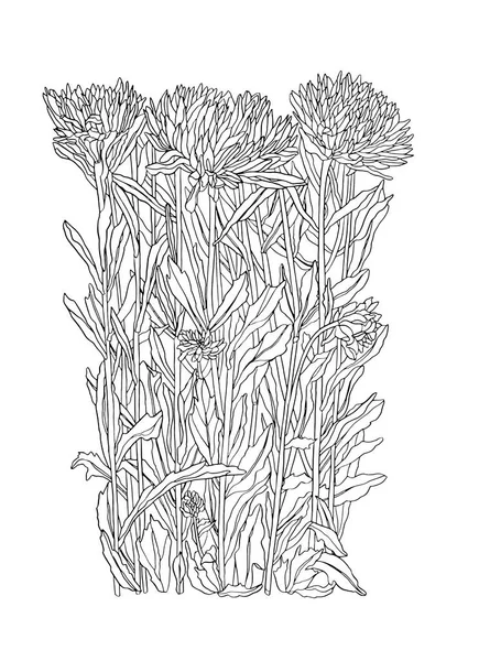 Чернила Рисунок иллюстрации цветов с листьями — стоковый вектор