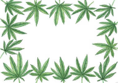Beyaz arka planda büyük yeşil kenevir yapraklı suluboya dekoratif çerçeve