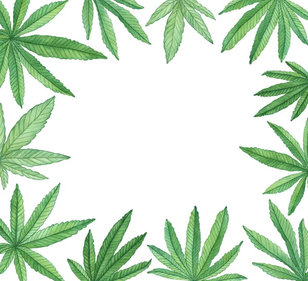Aquarel Cannabis Bloemen Frame Vierkante Marihuana Rand Met Groene Bladeren — Stockfoto