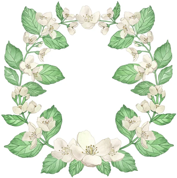 Watercolor Heart Wreath Flowers Branches Jasmine Isolated White Background Floral — Stock Photo, Image