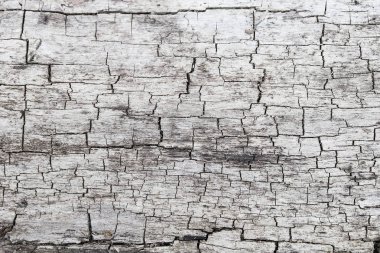 Eski ahşap, çatlaklar ile kaplı