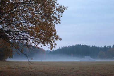Güzel alacakaranlık ile gün batımından sonra sis ve sis ile Letonya ülke manzara