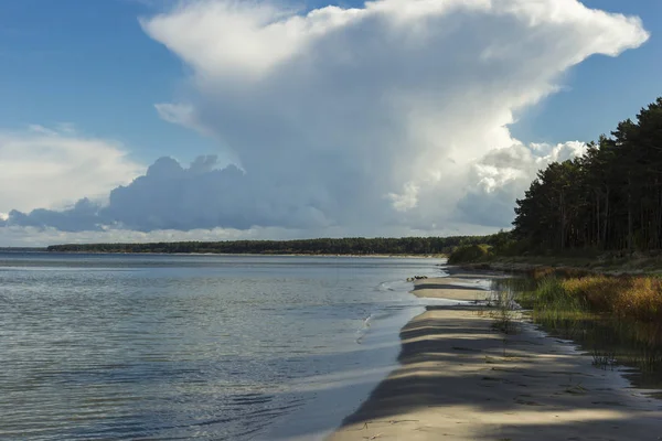 Costa Del Mar Báltico Letonia Dunas Arena Con Pinos Nubes — Foto de Stock