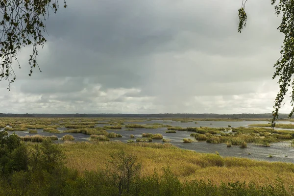 Utsikt Från Fågelskådningstornet Kanieris Lettland Solnedgång Rosa Himmel Flod Med — Stockfoto