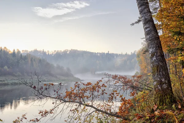 Paisagem de outono misteriosa manhã nebulosa em um campo perto do rio — Fotografia de Stock