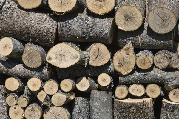 Stacks of Firewood. Wall firewood, background of dry chopped firewood in a pile.