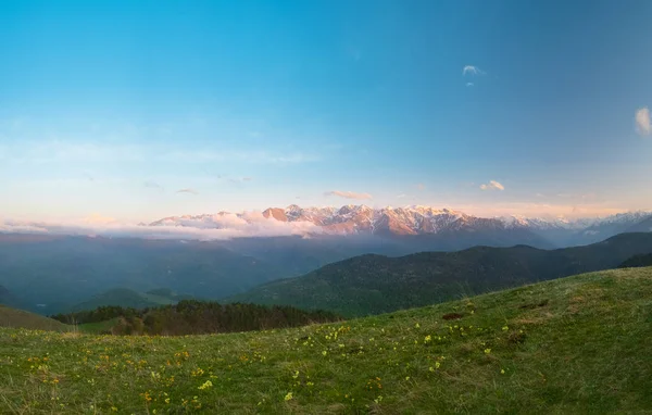 Prado Com Flores Grama Fundo Topo Das Cadeias Montanhosas Cobertas — Fotografia de Stock