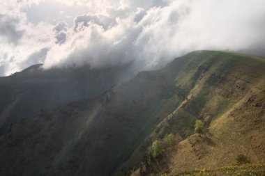 yüksek dağ çayırları ve yaylalar ve yeşil çim yamaçlar güneş tarafından aydınlatılmış ve kalın beyaz bir bulut üzerinde mavi bir gökyüzü ile kaplı