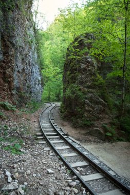 Adıge, Kafkasya Guam gorge ağaçları arasında dağlarda bir kayanın altında eski dar hat demiryolu