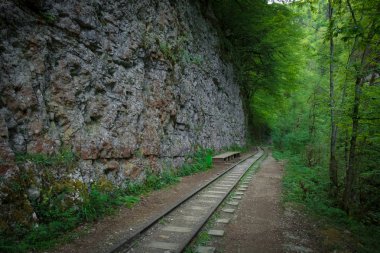 Adıge, Kafkasya Guam gorge ağaçları arasında dağlarda bir kayanın altında eski dar hat demiryolu