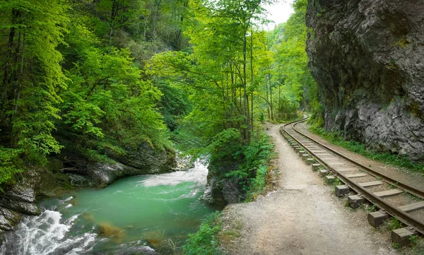 gorge, adıge, Kafkasya Guam gorge dağ Nehri yakınında bir kayanın altında eski dar hat demiryolu