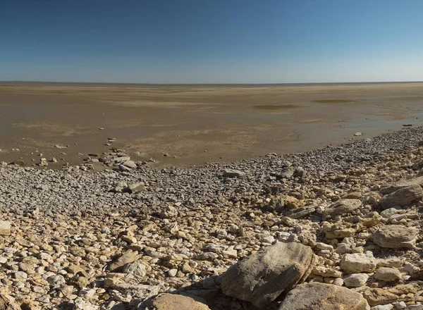 Una Gran Piedra Orilla Mar Seco Verano Día Soleado — Foto de Stock