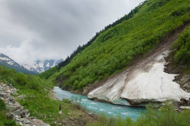 karla kaplı dağ zirveleri çerçevede nehir iğne yapraklı orman ağaçları ile dağın üzerinde kar çığ indi