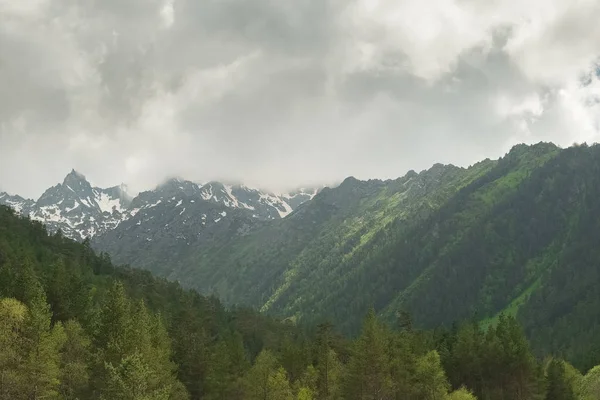 Paysage Pentes Montagne Couvertes Verdure Forêt Conifères Avec Ciel Gris — Photo