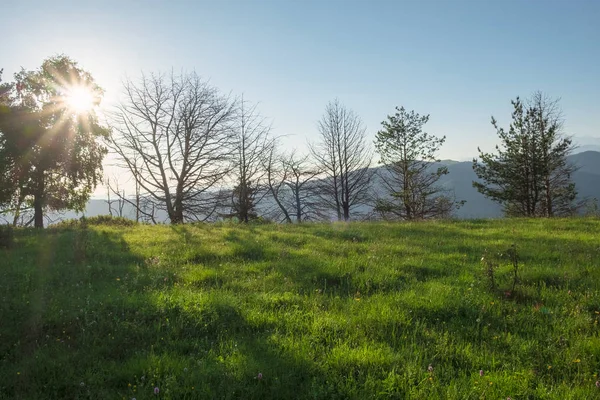 çayır ile yeşil çimen Dağları nın anahatları ile mavi gökyüzü karşı ağaçların arasından sabah güneş tarafından aydınlatılmış