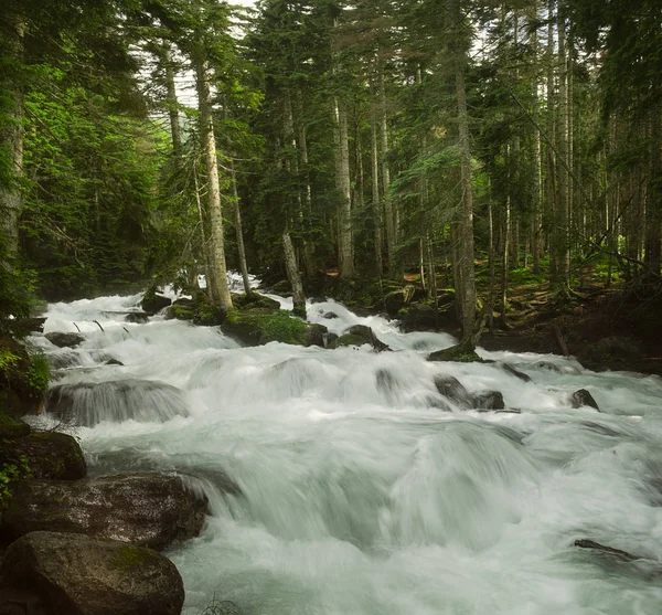 Быстрая Горная Река Чистой Водой Льется Скалы Пороги Окруженная Зелеными — стоковое фото