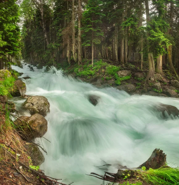 Быстрая Горная Река Чистой Водой Льется Скалы Пороги Окруженная Зелеными — стоковое фото