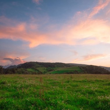 yeşil alanların orman ve dağlar, resim ekran koruyucu ile yukarıda gökyüzünde yoğun akşam pembe bulutlar