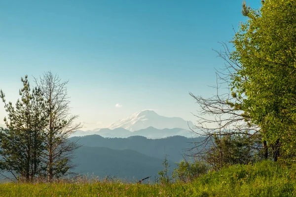 Sommet Enneigé Mont Elbrus Sur Fond Vallées Montagneuses Arbres Verts — Photo