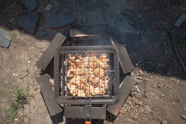 Vlees Kippenvleugels Geroosterd Barbecue Grill Kolen Binnenplaats Van Het Huis — Stockfoto