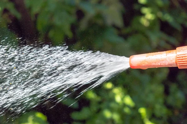 Spray and spray of water from the hose for irrigation of the garden