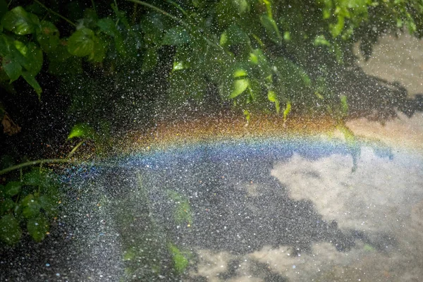 Spray and spray of water from the hose for irrigation of the garden