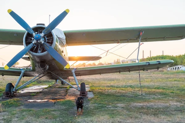 轻的小体育飞机在伞兵飞行俱乐部的领域在一个夏天晴朗的早晨 — 图库照片