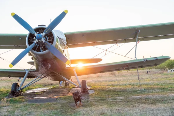 轻的小运动飞机 在伞兵飞行俱乐部的领域在一个夏天晴朗的早晨 — 图库照片