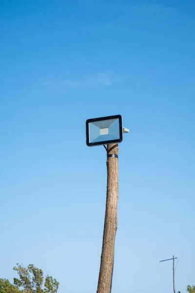 led street lamp mounted on a wooden tree trunk against a blue sky