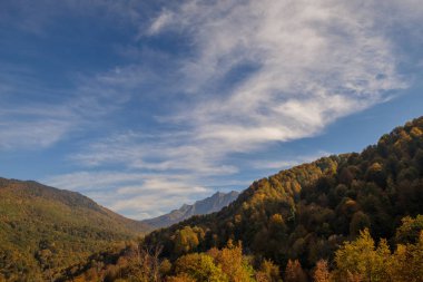 Doğa ve dağ manzaraları Sochi ve Rosa Khutor mountain Resort, sonbahar renkleri
