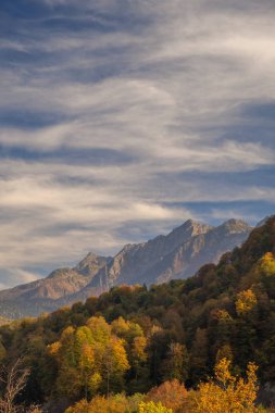 Doğa ve dağ manzaraları Sochi ve Rosa Khutor mountain Resort, sonbahar renkleri