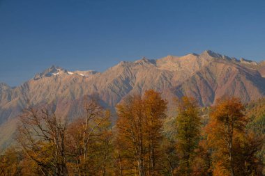 Doğa ve dağ manzaraları Sochi ve Rosa Khutor mountain Resort, sonbahar renkleri