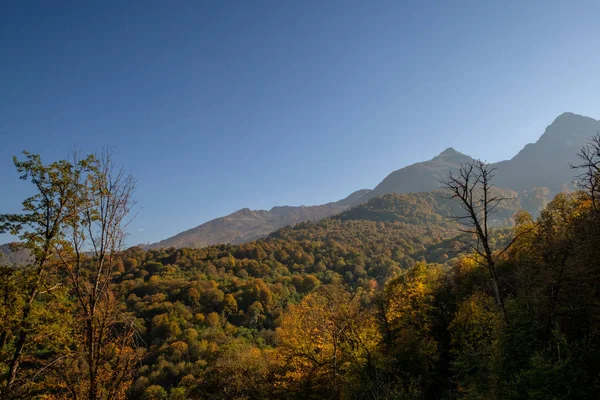 Natureza Paisagens Montanhosas Sochi Rosa Khutor Resort Montanha Cores Outono — Fotografia de Stock