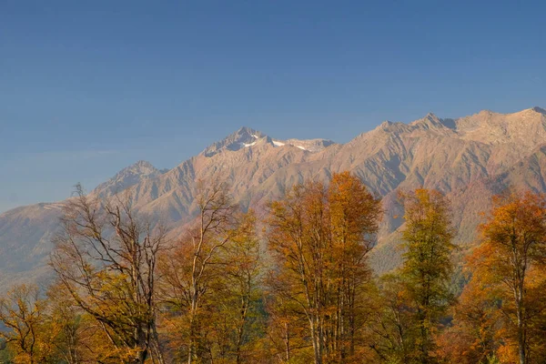 Natur Und Berglandschaften Von Sotschi Und Rosa Khutor Mountain Resort — Stockfoto