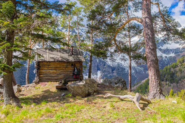 Samotny Stary Drewniany Hut Wysokiej Górach Otoczeniu Lasów Iglastych Teberda — Zdjęcie stockowe