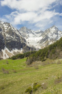 karla kaplı dağ zirveleri karaçay-çerkez Cumhuriyeti Teberda içinde bir iğne yapraklı orman manzara arka planı