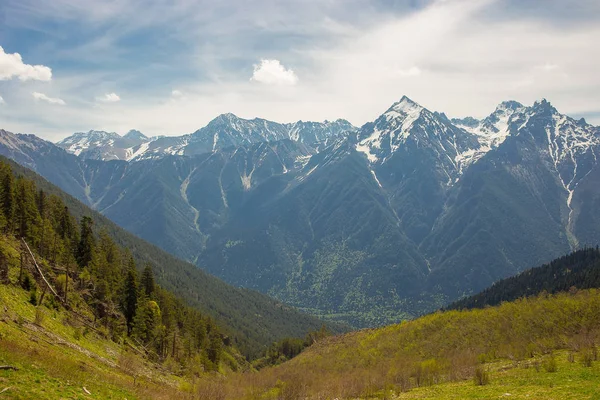 Picos Montanhosos Cobertos Neve Fundo Uma Paisagem Florestal Conífera Karachay — Fotografia de Stock