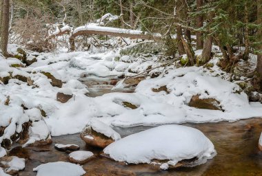 Teberda, Dombay karaçay-çerkez Cumhuriyeti, Rusya karda kışın dağ nehir akar