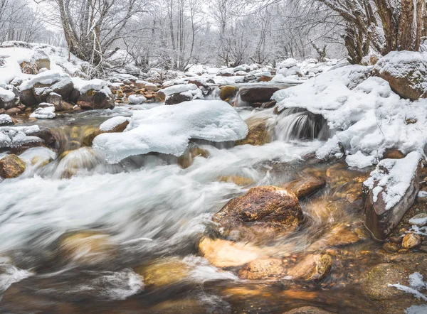 Река Течёт Зимой Снегу Теберде Домбей Карачаево Черкесия Россия — стоковое фото