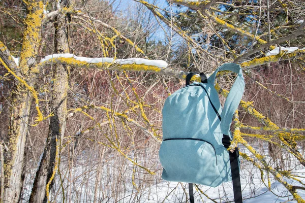 light city backpack hanging on a branch with snow in winter