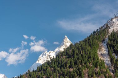Karaçam-Çerkesya Rusya 'daki Dombay dağ beldesinde INE Dağı Zirvesi