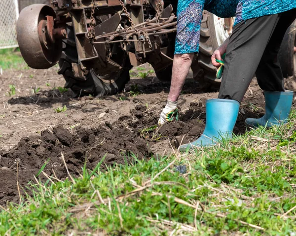 Kadın, baharda Kafkasya 'da, eski traktör harrow tarlasının yanında koşuyor.. 