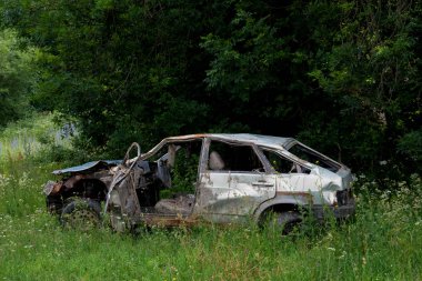 çimenler üzerinde çamur duruyor boğuldu bir kaza araba cesedi