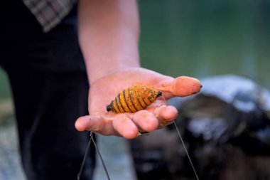 the hands of the fisherman on fishing wear a worm on the hook and hold the feeder with fish food clipart