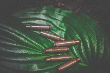 büyük yeşil bir yaprak üzerinde otomatik bir silah mühimmat boş atış kartuşları